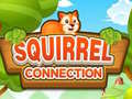 Oyun Squirrel Connection