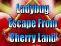 Oyun Ladybug Escape From Cherry Land
