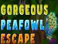 Oyun Gorgeous Peafowl Escape
