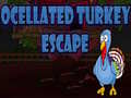 Oyun Ocellated Turkey Escape