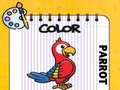 Oyun Color Parrot