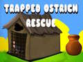 Oyun Trapped Ostrich Rescue