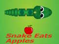 Oyun Snake Eats Apple