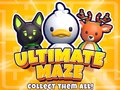 Oyun Ultimate Maze! Collect Them All!