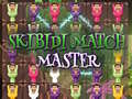 Oyun Skibidi Match Master