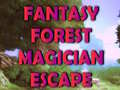 Oyun Fantasy Forest Magician Escape