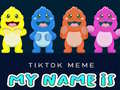 Oyun TikTok Meme My Name Is