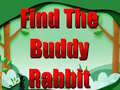 Oyun Find The Buddy Rabbit