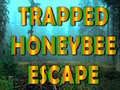 Oyun Trapped Honeybee Escape