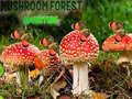 Oyun Mushroom Forest Adventure