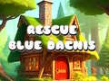 Oyun Rescue Blue Dacnis