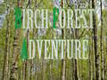 Oyun Birch Forest Adventure