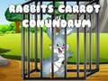 Oyun Rabbits Carrot Conundrum