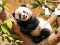 Oyun Jigsaw Puzzle: Panda On Tree
