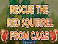 Oyun Rescue The Red Squirrel From Cage