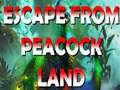 Oyun Escape From Peacock Land
