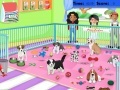 Oyun Puppy Pet Care