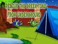 Oyun Rescue The Green Toad From Underground