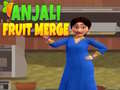 Oyun Anjali Fruit Merge