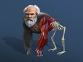 Oyun Idle Evolution From Cell To Human