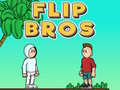 Oyun Flip Bros