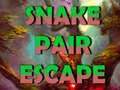 Oyun Snake Pair Escape