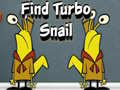 Oyun Find Turbo Snail