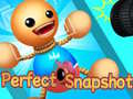 Oyun Perfect Snapshot