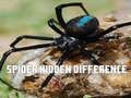 Oyun Spider Hidden Difference