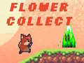 Oyun Flower Collect