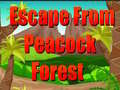 Oyun Escape From Peacock Forest