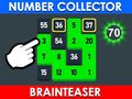 Oyun Number Collector: Brainteaser