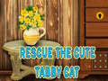 Oyun Rescue The Cute Tabby Cat