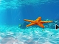 Oyun Escape From Underwater Starfish