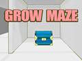 Oyun Grow Maze