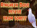 Oyun Ringneck Dove Rescue From Forest