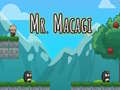 Oyun Mr Macagi