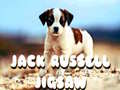 Oyun Jack Russell Jigsaw