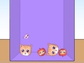 Oyun Evolution of Cat Memes