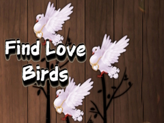 Oyun Find Love Birds