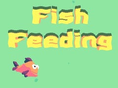 Oyun Fish Feeding