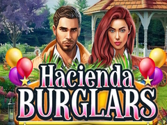 Oyun Hacienda Burglars