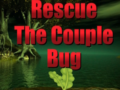 Oyun Rescue The Couple Bug