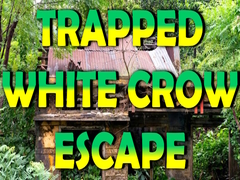 Oyun Trapped White Crow Escape