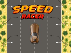Oyun Speed Racer