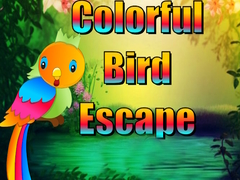 Oyun Colorful Bird Escape