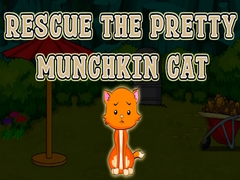 Oyun Rescue The Pretty Munchkin Cat