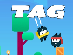 Oyun Tag