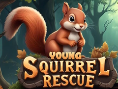 Oyun Young Squirrel Rescue