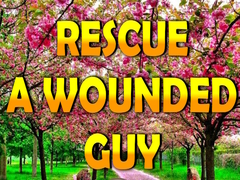 Oyun Rescue A Wounded Guy